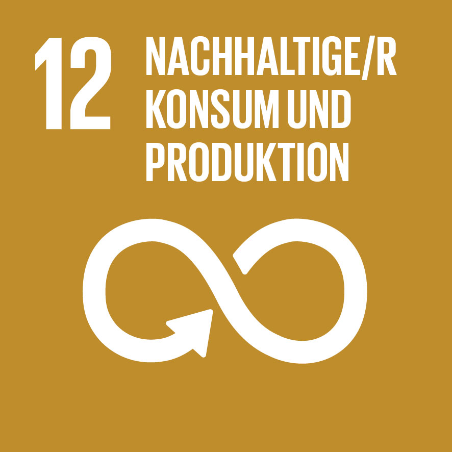 Goal 12 Nachhaltige/r Konsum und Produktion