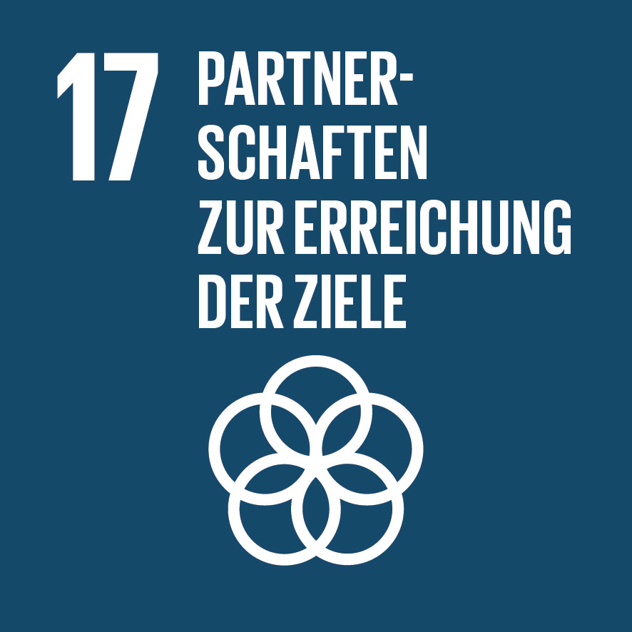 SDG17 Partnerschaften zur Erreichung der Ziele